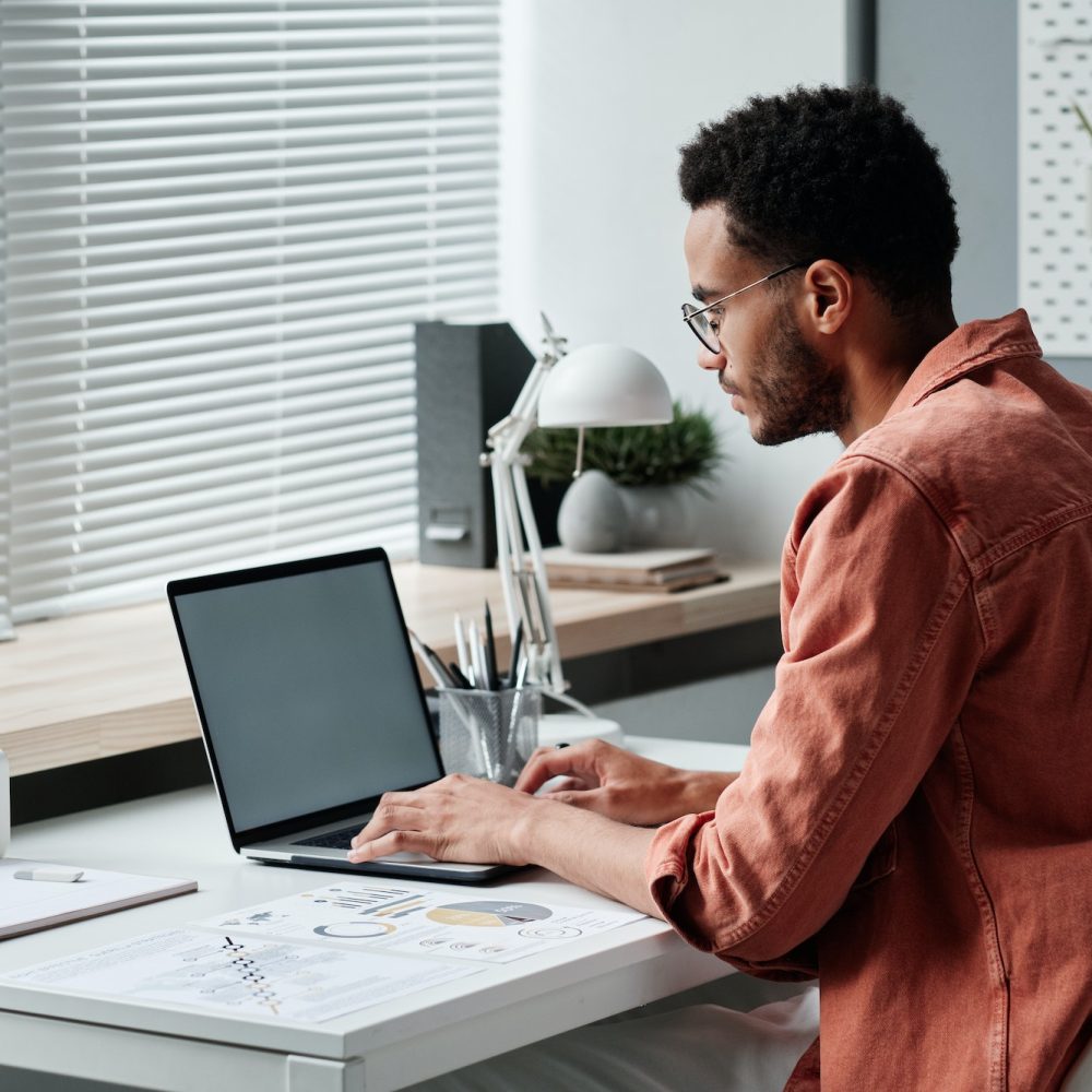 Mixed race financial advisor using laptop